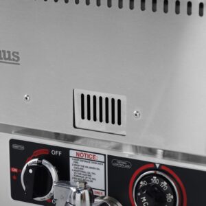 Counter top twin tank LPG Fryer